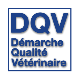 DQV si paiement avec l'affiliation UPV