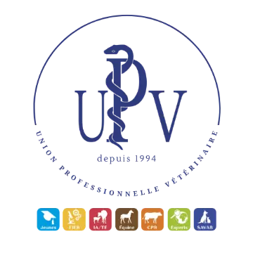 UPV